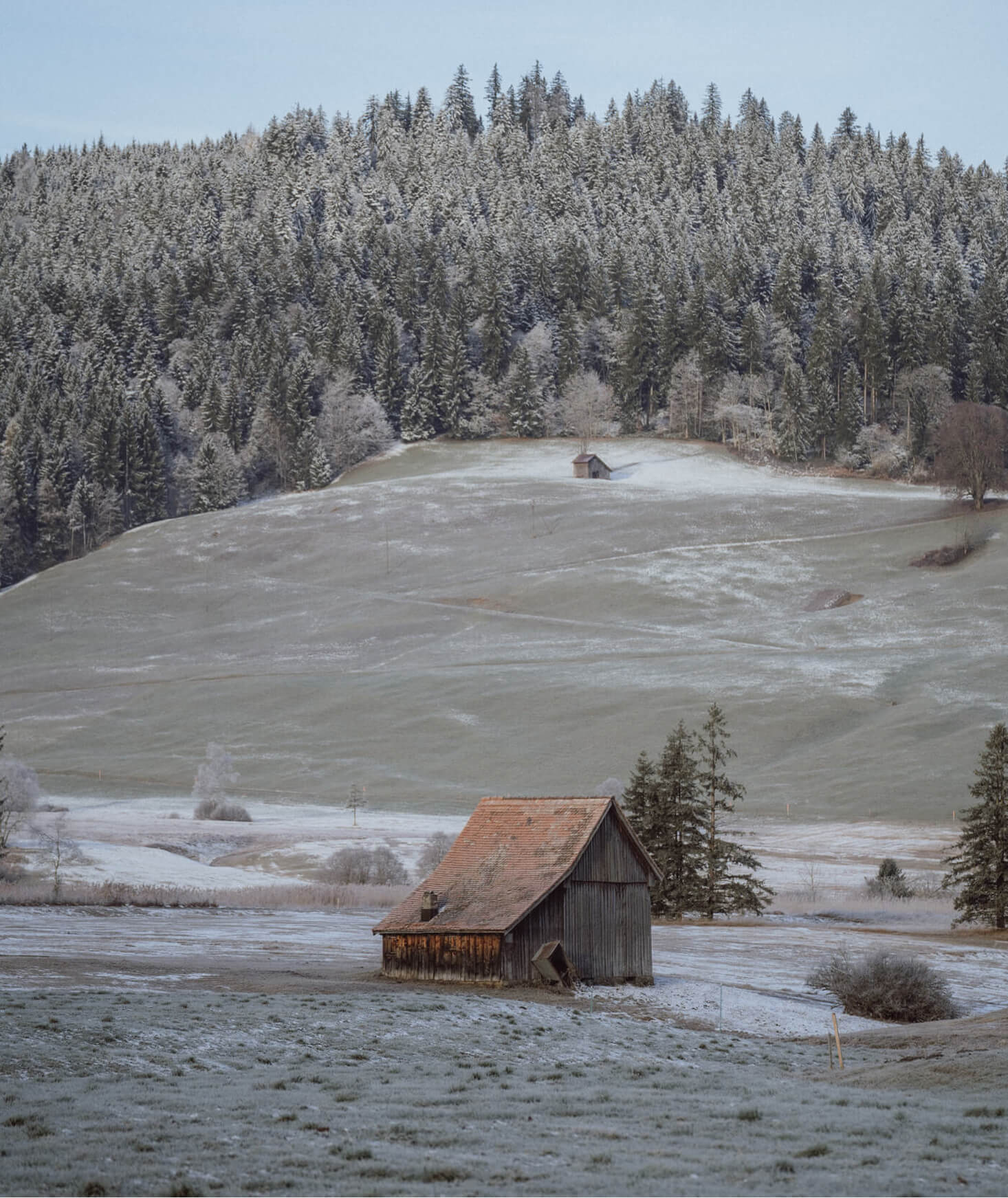 HypnoBirthing in Schwyz – mentale Geburtsvorbereitung für eine positive Geburt